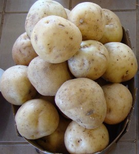 pommesdeterre