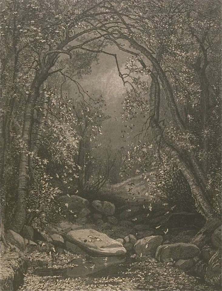 Les grandes forêts d’Arthur Buies Les Quatre Saisons