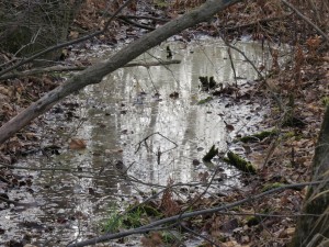 marais le grand meaulnes