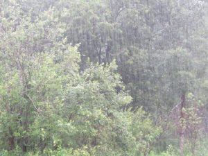 Sous la pluie deux