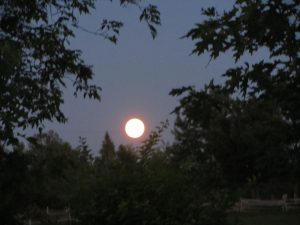 Pleine lune sur Dosquet, photo Anne-Marie S