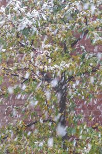 il-neige-un