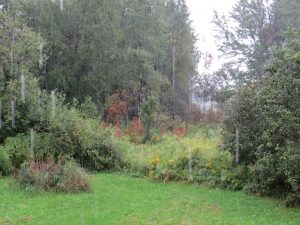 sous-la-pluie